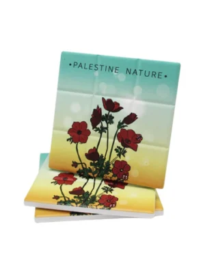 كوستر - شقائق النعمان